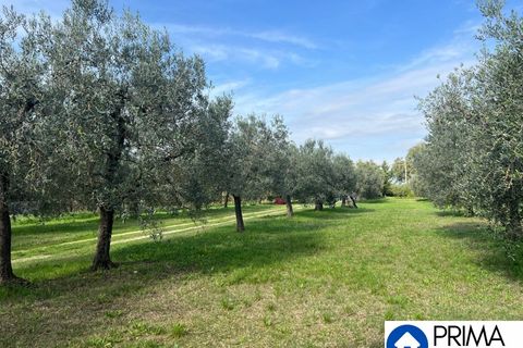 Helårsgrund i Terni, Terni, Terni - € 70.000 | Ref: DQZ-1911 - foto 14