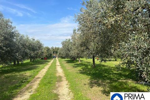 Helårsgrund i Terni, Terni, Terni - € 70.000 | Ref: DQZ-1911 - foto 15