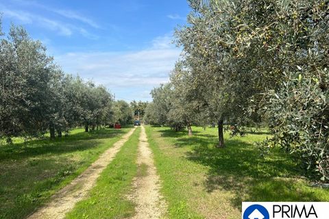 Helårsgrund i Terni, Terni, Terni - € 70.000 | Ref: DQZ-1911 - foto 16