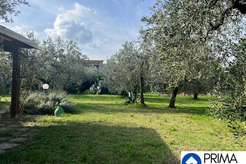 Helårsgrund i Terni, Terni, Terni - € 70.000 | Ref: DQZ-1911 - foto 17