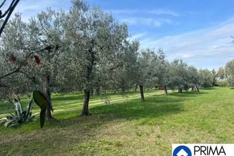 Helårsgrund i Terni, Terni, Terni - € 70.000 | Ref: DQZ-1911 - foto 19