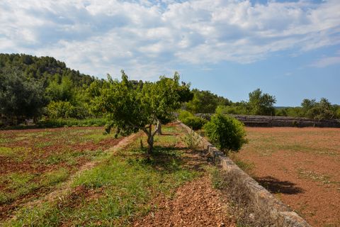 Finca i Son Servera, Mallorca, Son Servera - € 1.260.000 | Ref: FALC-CrYa-36828 - foto 2