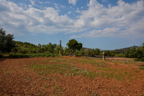 Finca i Son Servera, Mallorca, Son Servera - € 1.260.000 | Ref: FALC-CrYa-36828 - foto 9