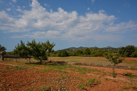 Finca i Son Servera, Mallorca, Son Servera - € 1.260.000 | Ref: FALC-CrYa-36828 - foto 10