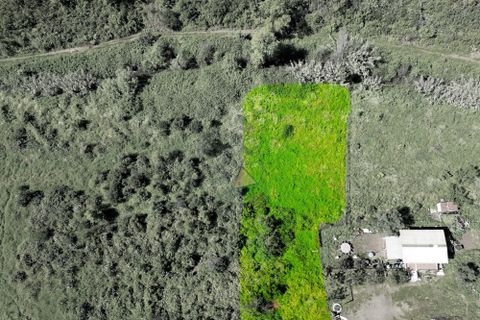 Helårsgrund i Monchique, Faro, Monchique - € 25.000 | Ref: NF017 AL - foto 1