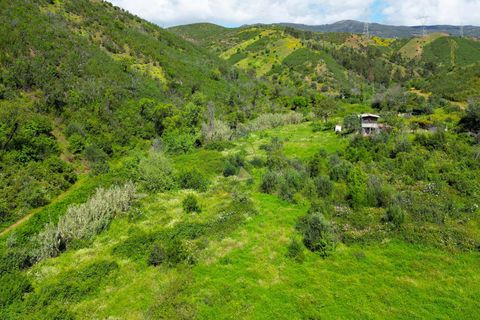 Helårsgrund i Monchique, Faro, Monchique - € 25.000 | Ref: NF017 AL - foto 8