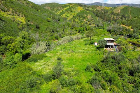 Helårsgrund i Monchique, Faro, Monchique - € 25.000 | Ref: NF017 AL - foto 9