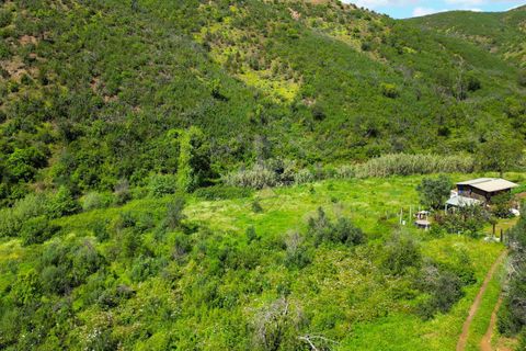 Helårsgrund i Monchique, Faro, Monchique - € 25.000 | Ref: NF017 AL - foto 10