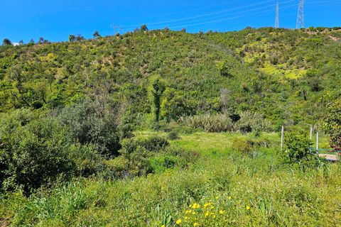 Helårsgrund i Monchique, Faro, Monchique - € 25.000 | Ref: NF017 AL - foto 11