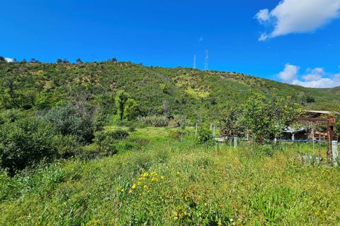 Helårsgrund i Monchique, Faro, Monchique - € 25.000 | Ref: NF017 AL - foto 12