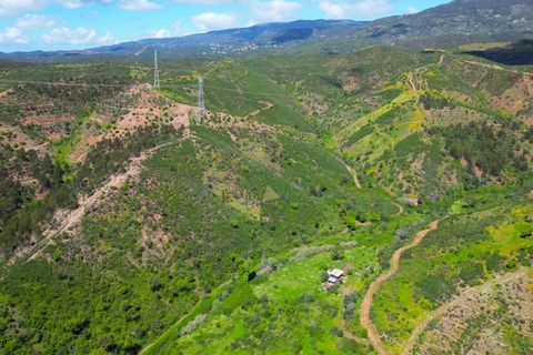Helårsgrund i Monchique, Faro, Monchique - € 25.000 | Ref: NF017 AL - foto 13