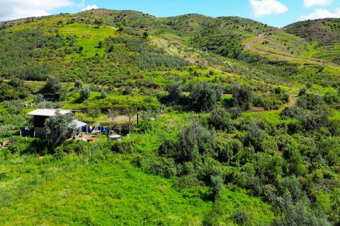 Helårsgrund i Monchique, Faro, Monchique - € 25.000 | Ref: NF017 AL - foto 15