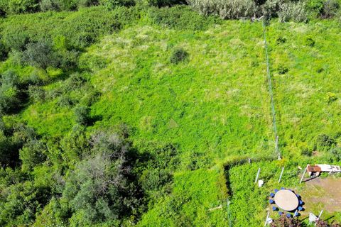 Helårsgrund i Monchique, Faro, Monchique - € 25.000 | Ref: NF017 AL - foto 16