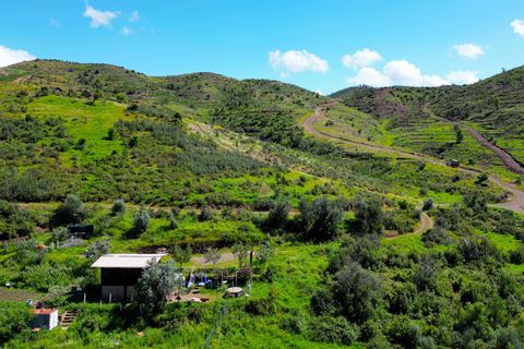 Helårsgrund i Monchique, Faro, Monchique - € 25.000 | Ref: NF017 AL - foto 17