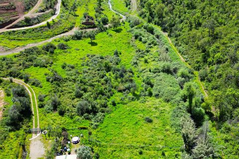 Helårsgrund i Monchique, Faro, Monchique - € 25.000 | Ref: NF017 AL - foto 18