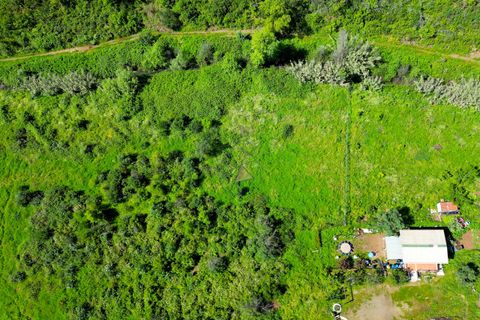 Helårsgrund i Monchique, Faro, Monchique - € 25.000 | Ref: NF017 AL - foto 19