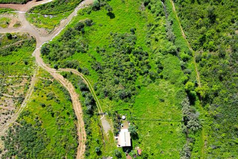 Helårsgrund i Monchique, Faro, Monchique - € 25.000 | Ref: NF017 AL - foto 20