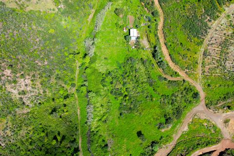 Helårsgrund i Monchique, Faro, Monchique - € 25.000 | Ref: NF017 AL - foto 21