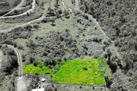 Helårsgrund i Monchique, Faro, Monchique - € 25.000 | Ref: NF017 AL - foto 24