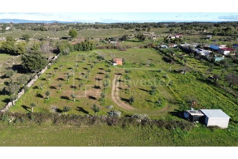 Terra a Alcains, Castelo Branco, Alcains - € 32.000 | Ref: SÒL_914 - foto 2