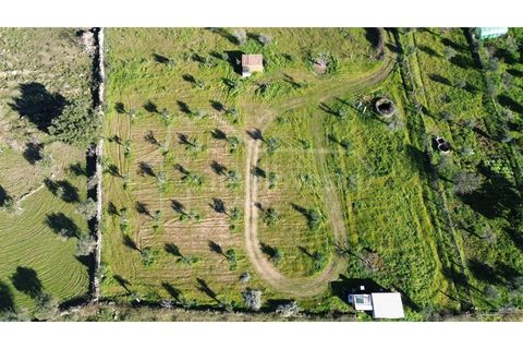 Terra a Alcains, Castelo Branco, Alcains - € 32.000 | Ref: SÒL_914 - foto 3