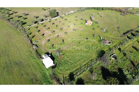 Terra a Alcains, Castelo Branco, Alcains - € 32.000 | Ref: SÒL_914 - foto 4