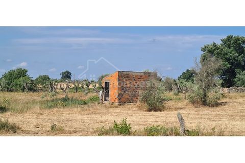 Terra a Alcains, Castelo Branco, Alcains - € 32.000 | Ref: SÒL_914 - foto 6