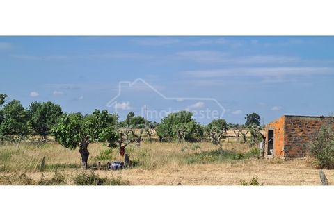 Terra a Alcains, Castelo Branco, Alcains - € 32.000 | Ref: SÒL_914 - foto 7