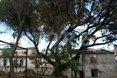 Villa a Vila Vicosa, Evora, Vila Vicosa - € 660.000 | Ref: 03286/M001 - foto 16