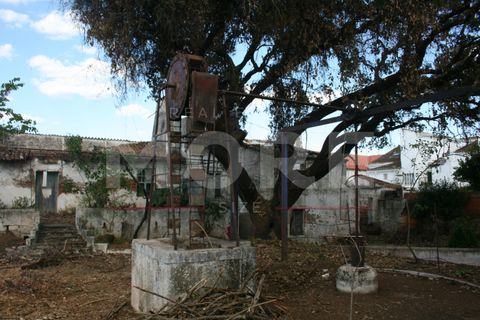 Villa a Vila Vicosa, Evora, Vila Vicosa - € 660.000 | Ref: 03286/M001 - foto 21