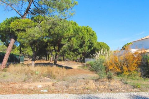 Helårsgrund i Almancil, Faro, Almancil - € 1.775.000 | Ref: t443 - foto 1