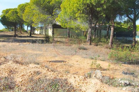 Helårsgrund i Almancil, Faro, Almancil - € 1.775.000 | Ref: t443 - foto 8