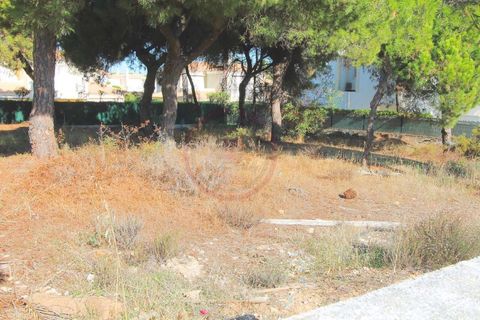 Helårsgrund i Almancil, Faro, Almancil - € 1.775.000 | Ref: t443 - foto 2