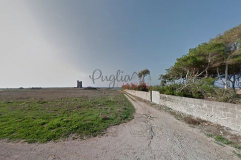 Villa a Nardo, Lecce, Nardo - € 11.111.111 | Ref: 268 - foto 42