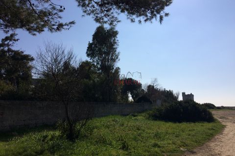 Villa a Nardo, Lecce, Nardo - € 11.111.111 | Ref: 268 - foto 28