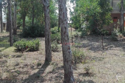 Villa a Nardo, Lecce, Nardo - € 11.111.111 | Ref: 268 - foto 31
