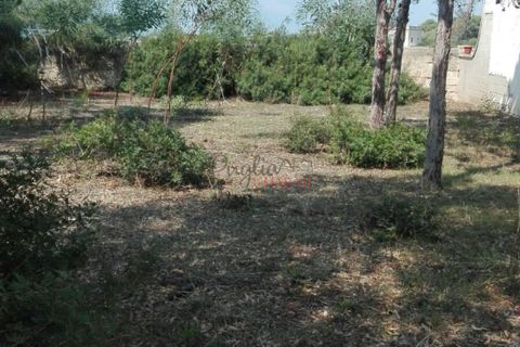 Villa a Nardo, Lecce, Nardo - € 11.111.111 | Ref: 268 - foto 26