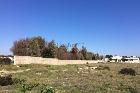 Villa a Nardo, Lecce, Nardo - € 11.111.111 | Ref: 268 - foto 30