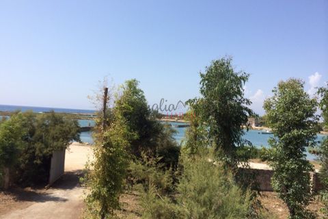 Villa a Nardo, Lecce, Nardo - € 11.111.111 | Ref: 268 - foto 8