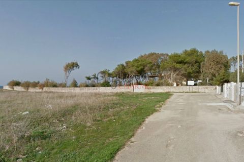 Villa a Nardo, Lecce, Nardo - € 11.111.111 | Ref: 268 - foto 38
