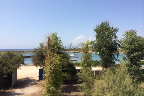 Villa a Nardo, Lecce, Nardo - € 11.111.111 | Ref: 268 - foto 32