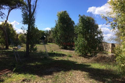 Villa a Nardo, Lecce, Nardo - € 11.111.111 | Ref: 268 - foto 19