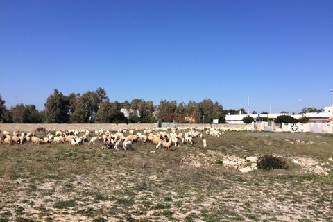 Villa a Nardo, Lecce, Nardo - € 11.111.111 | Ref: 268 - foto 27