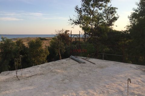 Villa a Nardo, Lecce, Nardo - € 11.111.111 | Ref: 268 - foto 41