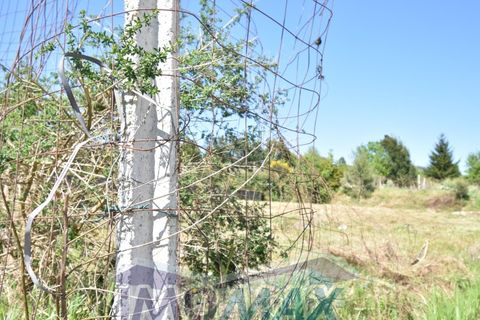 Terra a Perozelo, Porto, Perozelo - € 110.000 | Ref: 2024-032 - foto 6