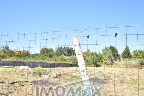 Terra a Perozelo, Porto, Perozelo - € 110.000 | Ref: 2024-032 - foto 7