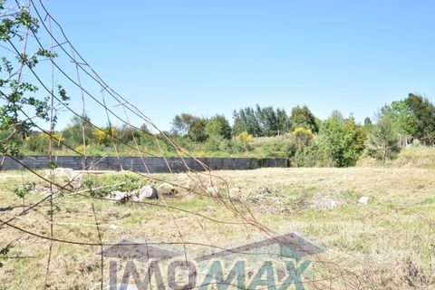 Terra a Perozelo, Porto, Perozelo - € 110.000 | Ref: 2024-032 - foto 9