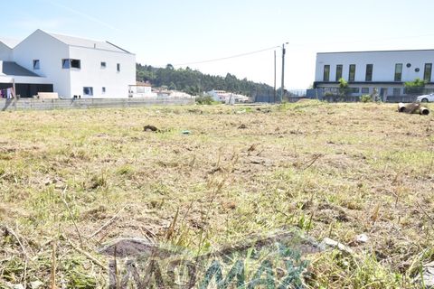Terra a Perozelo, Porto, Perozelo - € 110.000 | Ref: 2024-032 - foto 12