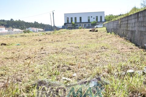 Terra a Perozelo, Porto, Perozelo - € 110.000 | Ref: 2024-032 - foto 14
