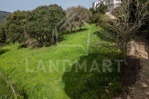 Terra a Turquel, Leiria, Turquel - € 105.000 | Ref: TE1427 - foto 6